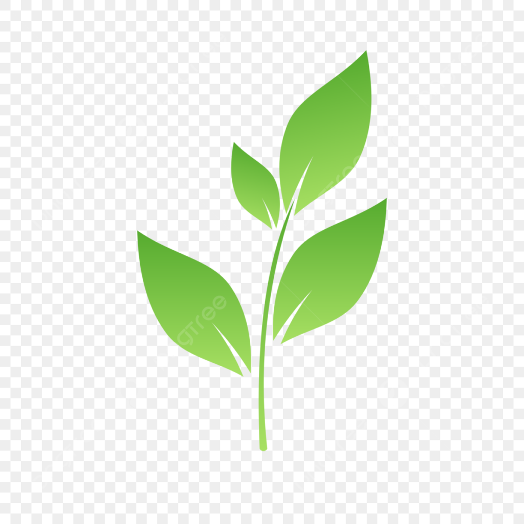 pngtree green leaf icon vector png image 8426939