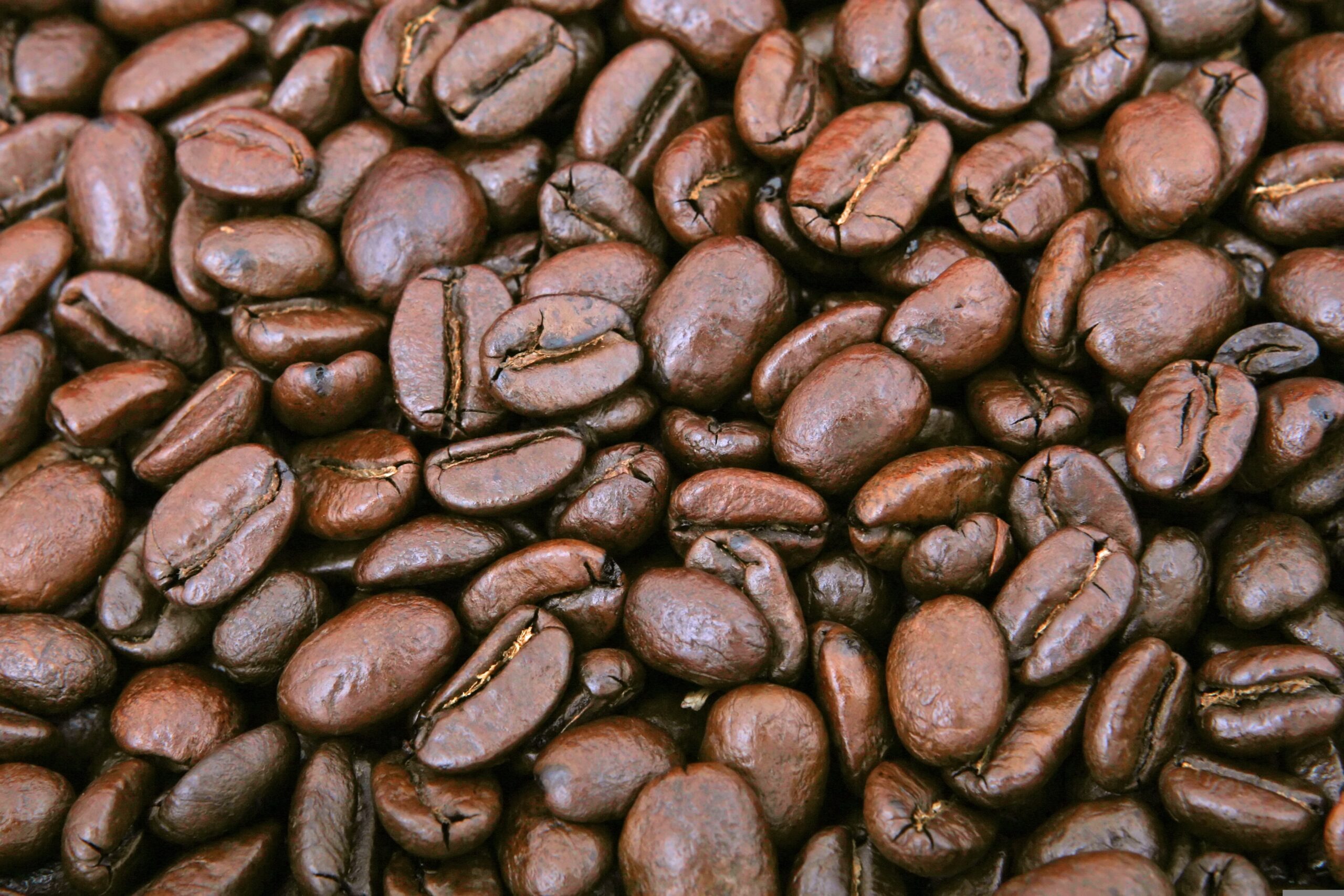 shutterbug75-coffee-1239226-scaled.jpg